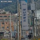애니카랜드 희망점 이미지