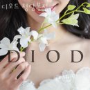 청담케이팜약국 | 신사동 머리 잘 하는 미용실 디오드 청담본점 찐만족후기