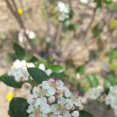 상진농장 이미지