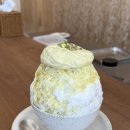 야로시장 | 망원 빙수 맛집 코리야 후기｜새로 오픈한 디저트 카페, 피스타치오빙수 먹어봤어요