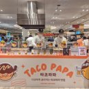 타코파파 이미지