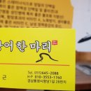 짱어한마리 이미지