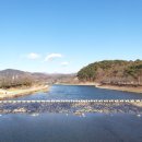 산양교 - 화천군 | 산양교