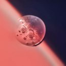 리프톤피부과의원 | 리프톤피부과의원 울산은 피부 문제를 해결하고자 하는 사람들에게 정말 추천할 만한 곳