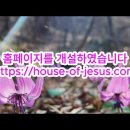 [요한복음](73)아리마대 사람 요셉의 무덤에 예수 그리스도가 뉘이셨다 l요19:38-42 이미지