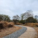 열린행정사 이미지