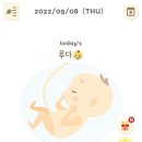 싸르르 이미지