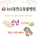 365동판교동물병원 이미지