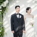 트라디노이