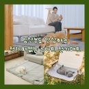 닥터스디자인 | 임산부 전기장판추천 전자파 걱정 없는 닥터스 은사매트 듀얼 SS 솔직 후기