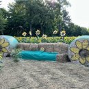 해바라기가맥 이미지