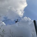 가든바베큐 이미지