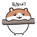 꽃꽃한당신 이미지