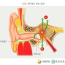 웰키즈소아청소년과의원 이미지