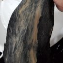 살롱드독 이미지