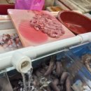 동삼동새마을금고 이미지