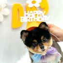 로고스 동물병원 이미지