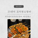 꼬치앤어묵 | 평산 술집 숯불꼬치 🍢 25센치꼬치앤오뎅바 방문후기