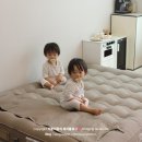 알파인클럽 | 스위스알파인클럽 프라임트윈에어베드 후기 여행가서 아기침대로도 좋아요