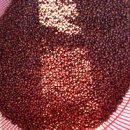 본의 아니게 팥을 팔았습니다. 이미지