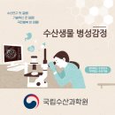 여수수산질병관리원