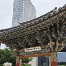 천년개발 | 도심 속 섬, 천년의 숨결을 품다: 서울 봉은사(奉恩寺)