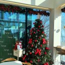 흐른 | 부산 강서구 낙동강뷰 카페 흐른 내돈내산 후기