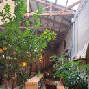 불란지스테이 이미지