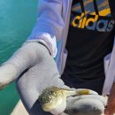 사량인펜션 이미지