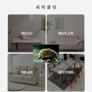 새하실업 | 인천 검단 매트리스 청소업체 비용 부담 없이 얼룩 냄새 제거한 후기많은 곳