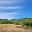 아리바우길(정선코스) 이미지