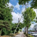 호암공원 화장실 이미지