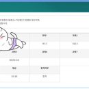 공통 295점 경기교행 합격수기 이미지