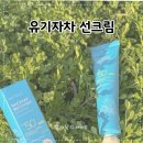 백합화장품 - 양천구 오목로 196 | 유기자차 선크림 네이버 넾다세일 추천템 뉴베리프 백합 리커버리 선크림 후기