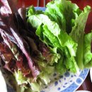 아미농장 이미지