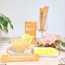 네이처스토리 이미지