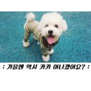 레스트오브 이미지