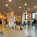 금란동물애견 | 유기견 보호소 방문 &amp; 입양 절차 후기 🐾