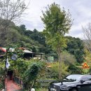 산속의친구 | 동두천 산속비버스 바베큐 미국 감성 레스토랑 후기