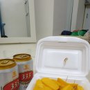 나나PC CAFE | 19' 먹으러 재방한 다낭 호이안 3박4일 - 먹거리 편