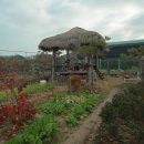 가래울1교 이미지