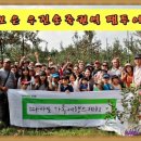 보은황토농장 네이버블로그