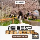 (주)한화(대병1터널) | 2026 여의도 봄꽃축제 벚꽃 개화시기 주차 꿀팁 돗자리 명당