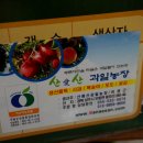 산애산과일농장