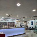 마린 스포츠센터 | 하계 마린 스포츠 센터 (수영 후기)