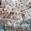 동서공원 이미지