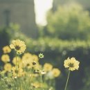 그린바다 이미지