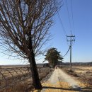 신지마을회관 이미지