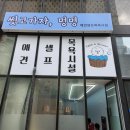 씻고가자,멍멍 이미지