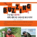 버징(Buzzing) 이미지